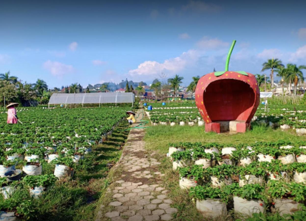 Villa Musti Green Apple Cipanas Sindanglaya ภายนอก รูปภาพ